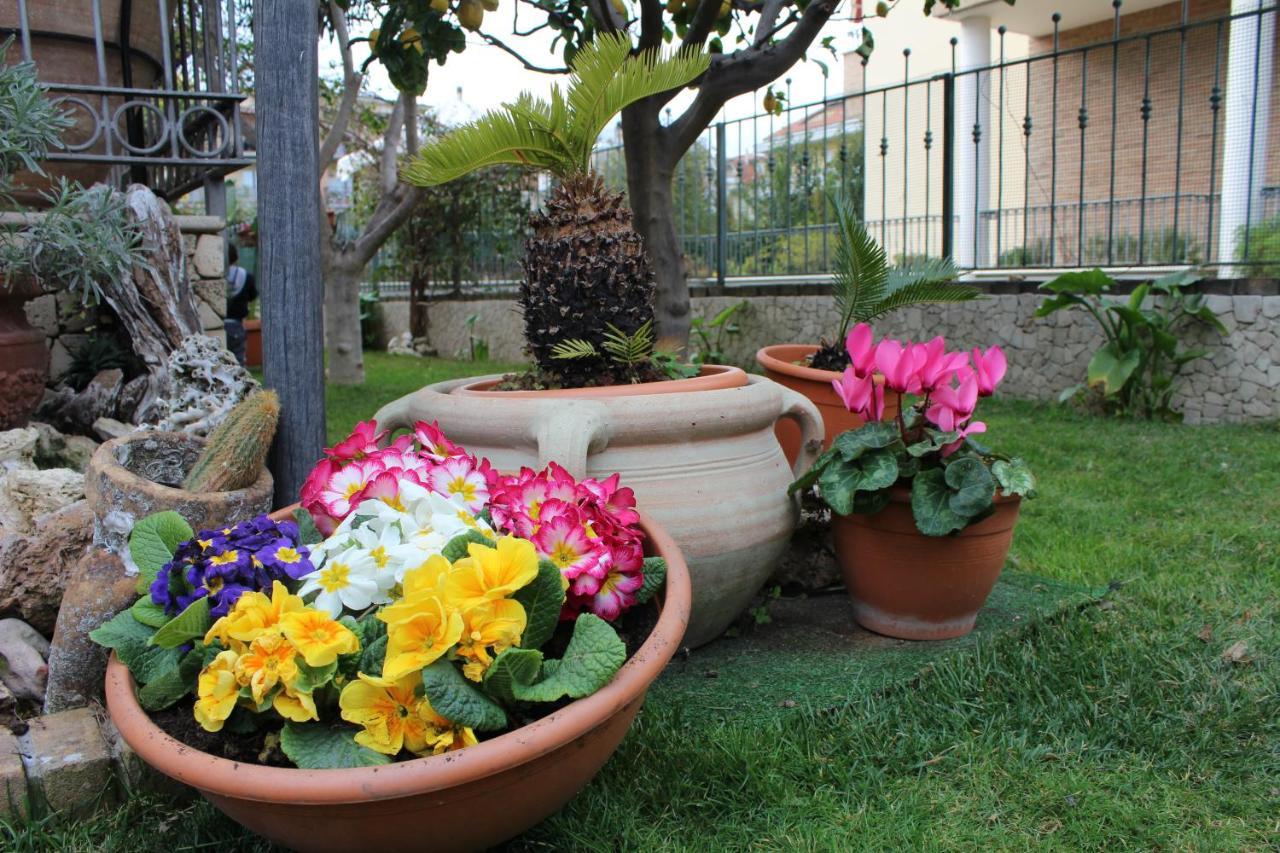 B&B Villa Lilla Сан-Бенедетто-дель-Тронто Экстерьер фото